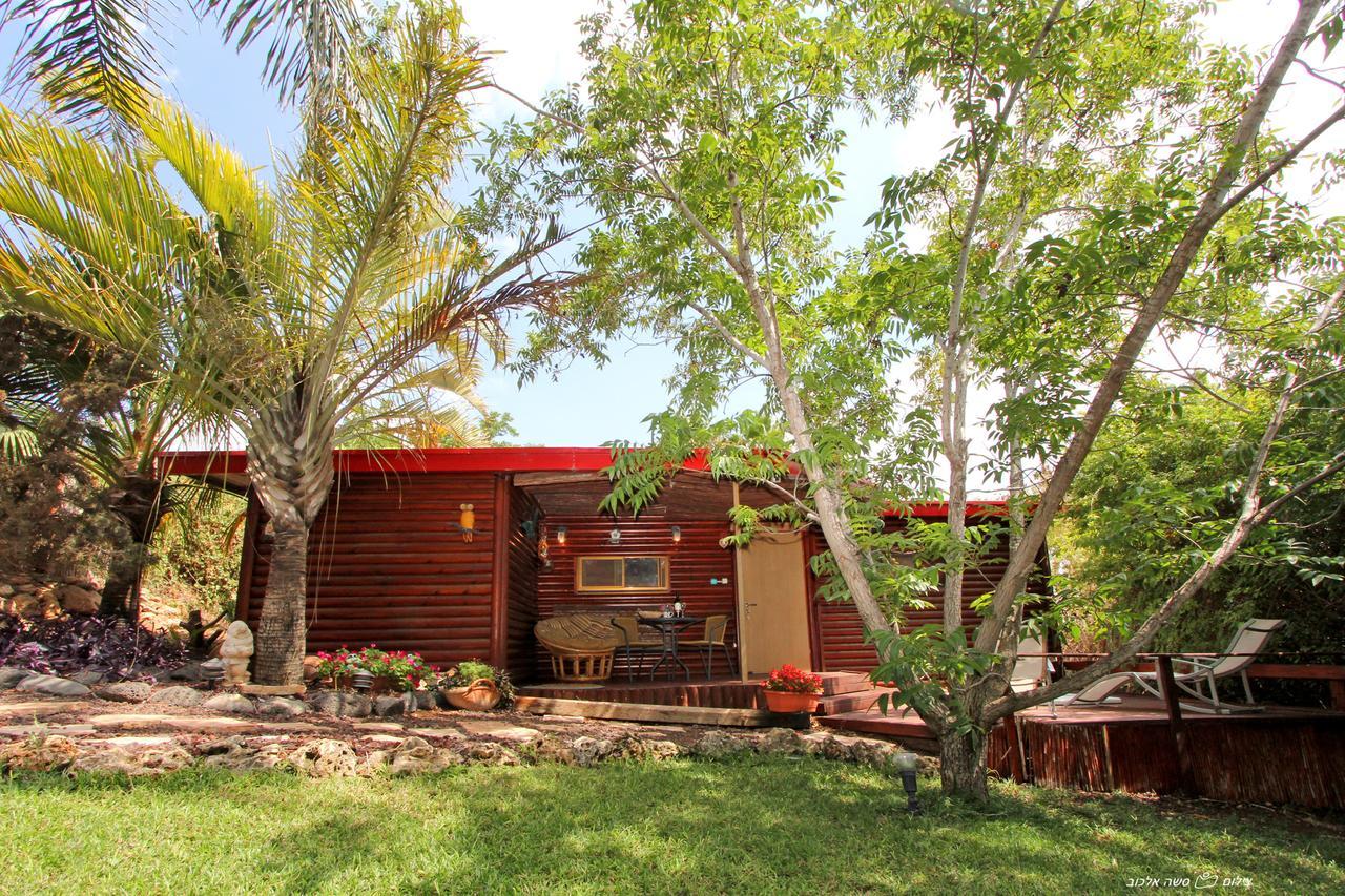 Under The Walnut Tree Shade Lodge