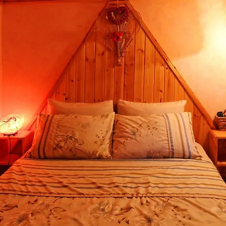 Under The Walnut Tree Shade Lodge Adi Room photo