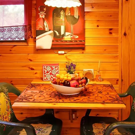 Under The Walnut Tree Shade Lodge Adi Room photo